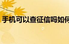 手机可以查征信吗如何查 手机可以查征信吗 