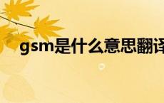 gsm是什么意思翻译 gsm版是什么意思 