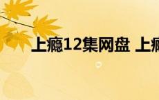 上瘾12集网盘 上瘾16到20集百度云 