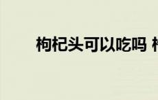 枸杞头可以吃吗 枸杞头可以晒干吗 