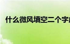 什么微风填空二个字成语 一什么微风填空 