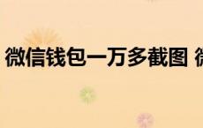 微信钱包一万多截图 微信钱包截图10000元 