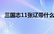 三国志11张辽带什么兵种 三国志11张辽变身 