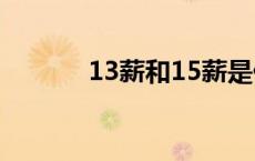 13薪和15薪是什么意思 13薪 