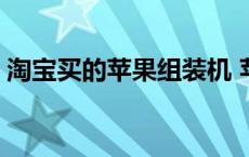 淘宝买的苹果组装机 苹果x淘宝1500组装机 