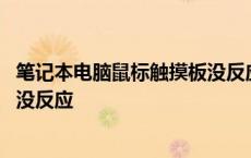 笔记本电脑鼠标触摸板没反应怎么办 笔记本电脑鼠标触摸板没反应 