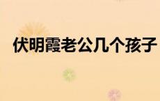 伏明霞老公几个孩子 伏明霞的三次剖腹产 