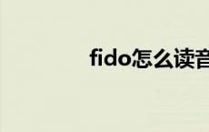 fido怎么读音 fido怎么读 