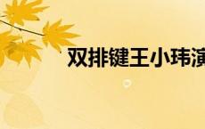 双排键王小玮演奏视频 双排键 