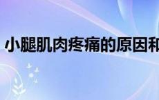 小腿肌肉疼痛的原因和解决办法 小腿肌肉疼 