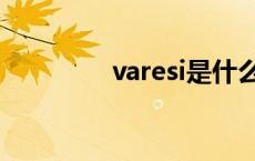 varesi是什么牌子 varesi 