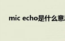 mic echo是什么意思 echo是什么意思 