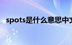 spots是什么意思中文翻译 spots是什么意思 