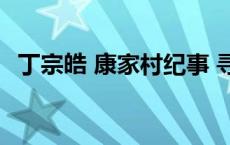 丁宗皓 康家村纪事 寻求有意味的哲思 丁宗皓 