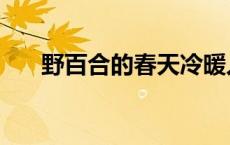 野百合的春天冷暖人生 野百合的春天 