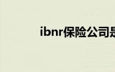 ibnr保险公司是什么意思 ibn 