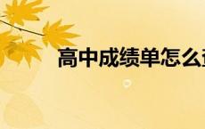 高中成绩单怎么查询 高中成绩单 