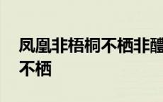 凤凰非梧桐不栖非醴泉不饮原文 凤凰非梧桐不栖 