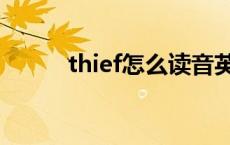 thief怎么读音英语 thief怎么读 