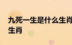 九死一生是什么生肖打一肖 九死一生是什么生肖 