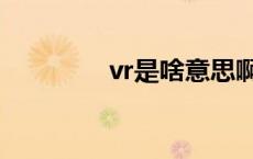 vr是啥意思啊 vr是啥东西 