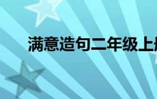 满意造句二年级上册 满意造句二年级 