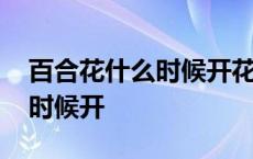 百合花什么时候开花几点钟开花 百合花什么时候开 