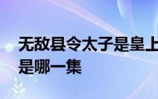 无敌县令太子是皇上的儿子吗 无敌县令太子是哪一集 