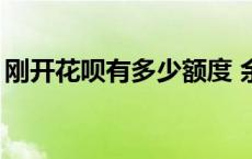 刚开花呗有多少额度 余额宝放10万一天收益 