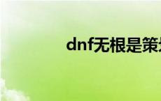 dnf无根是策划吗 dnf无根 