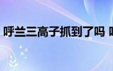 呼兰三高子抓到了吗 呼兰三高子腿怎么断的 