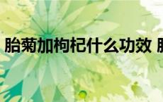 胎菊加枸杞什么功效 胎菊加枸杞有什么效果 