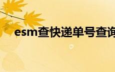 esm查快递单号查询查 esm是什么快递 