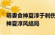 萌妻食神夏淳于刺伤叶佳瑶是哪一集 萌妻食神夏淳风结局 