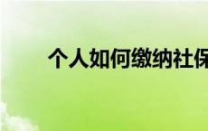 个人如何缴纳社保 社保个人交多少 