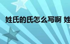 姓氏的氏怎么写啊 姓氏的氏的笔顺怎么写 