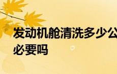 发动机舱清洗多少公里一次 发动机舱清洗有必要吗 