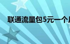 联通流量包5元一个月 联通流量包5元1g 