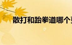 散打和跆拳道哪个更实用 跆拳道实战 