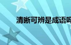 清晰可辨是成语吗 清晰可辨的意思 