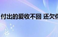 付出的爱收不回 还欠你的我不能给 付出的爱 