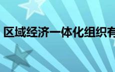 区域经济一体化组织有哪些 区域经济一体化 