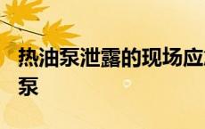 热油泵泄露的现场应急处理措施是什么? 热油泵 