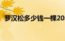 罗汉松多少钱一棵20年 罗汉松多少钱一棵 