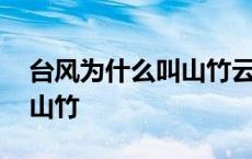 台风为什么叫山竹云雀和海葵 台风为什么叫山竹 