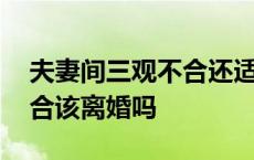 夫妻间三观不合还适合在一起吗 夫妻三观不合该离婚吗 