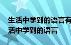 生活中学到的语言有哪些 请你写出一句在生活中学到的语言 