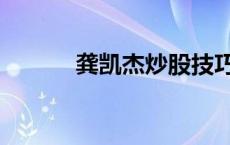 龚凯杰炒股技巧上下册 龚凯杰 