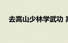 去嵩山少林学武功 嵩山少林学武功收费 