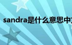 sandra是什么意思中文 sandra是什么意思 